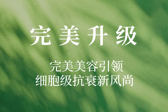 公司新闻--美容|纤体|美甲-完善美容（深圳）有限公司